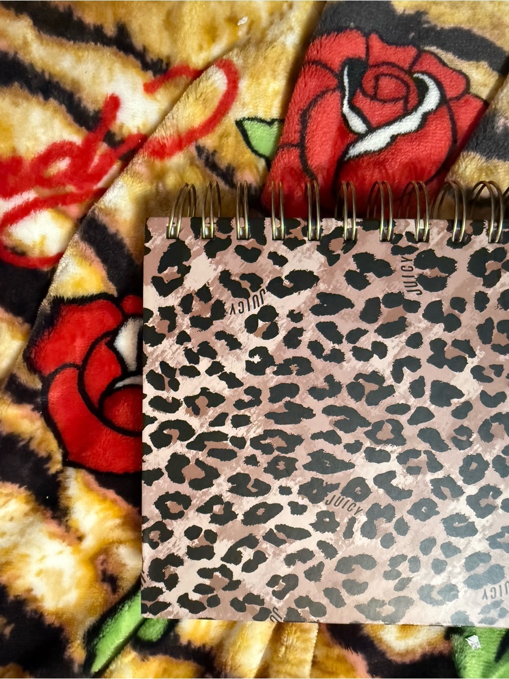 Accessories Subcategory Classification - Picture 8 of 8